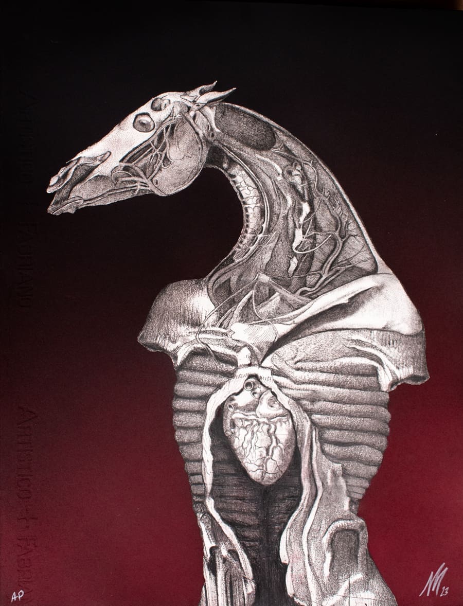 EQUUS (Life without skin)